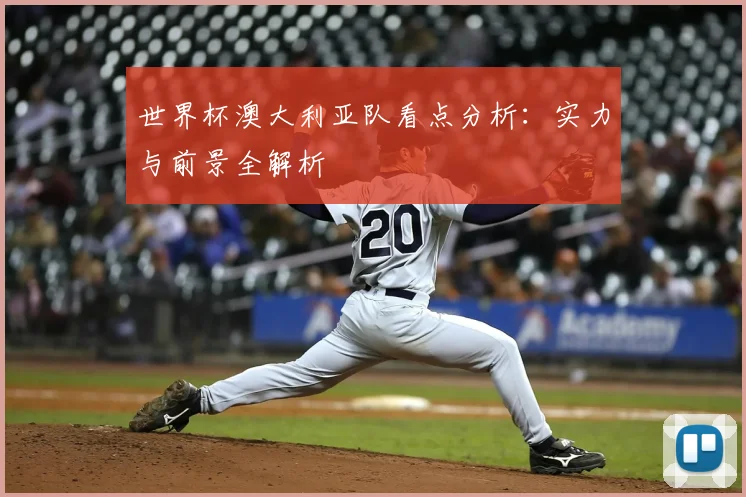 世界杯澳大利亚队看点分析:实力与前景全解析